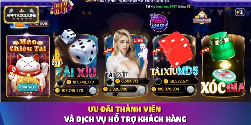 Ưu đãi thành viên và dịch vụ hỗ trợ khách hàng