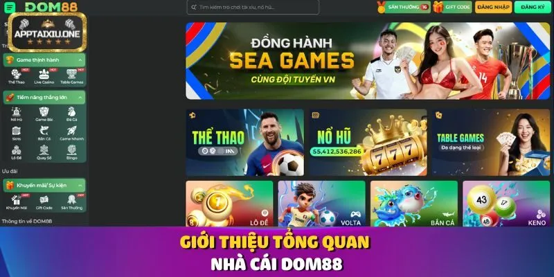 Giới thiệu tổng quan nhà cái Dom88
